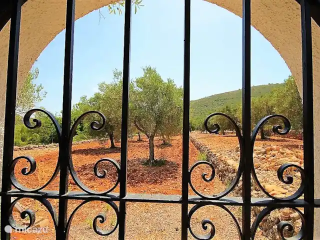 Casa Tranquila huren in Spanje, Costa Blanca, Lliber - villa Doorkijkje naar de olijfboomgaard.