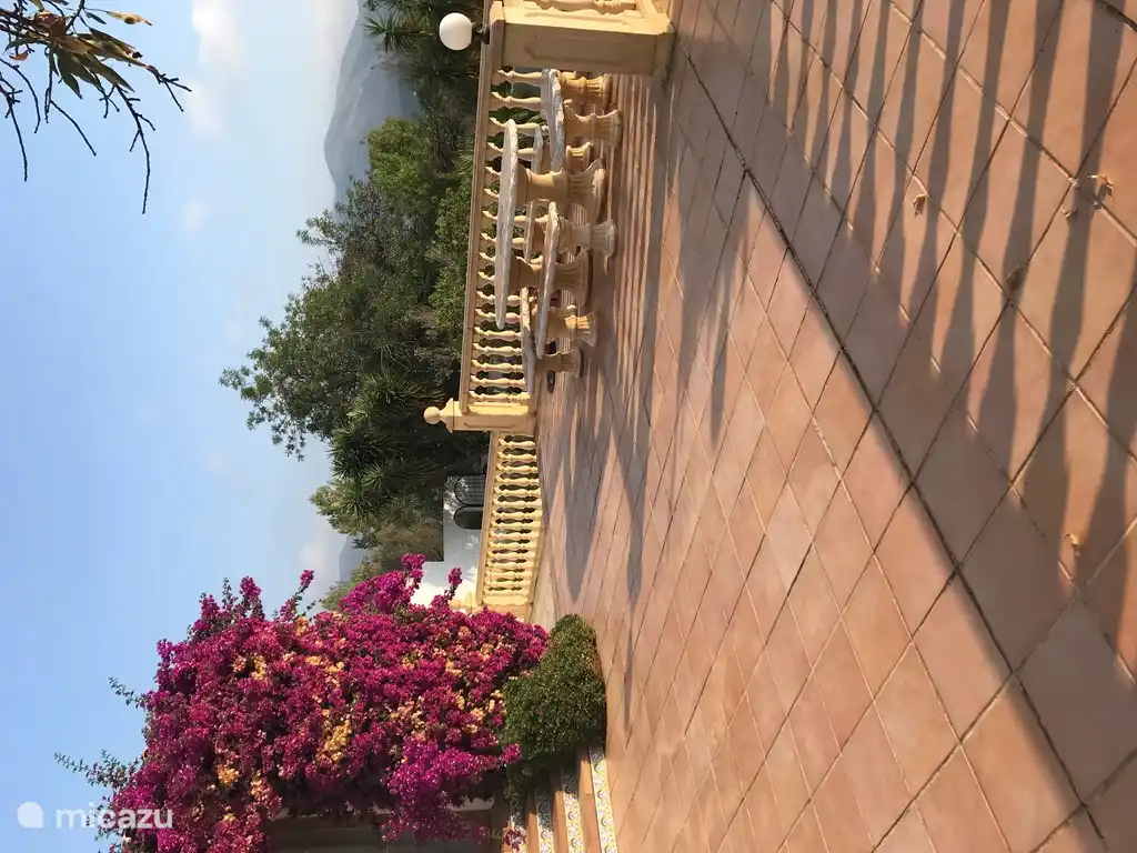 Die Bougainvillea blüht üppig.