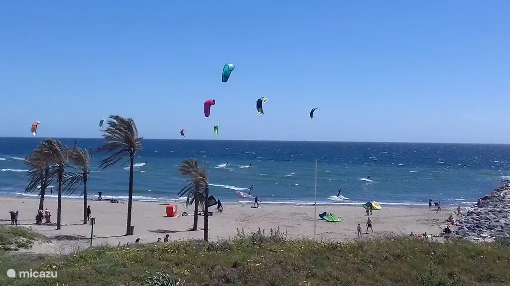 Cabopino Penthouse - Preise ALL-IN in Spanien, Costa del Sol, Marbella Cabopino  - Appartement