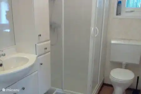 Vakantiehuis Nederland, Gelderland, Voorthuizen chalet Veluwe Voorthuizen -913- Badkamer