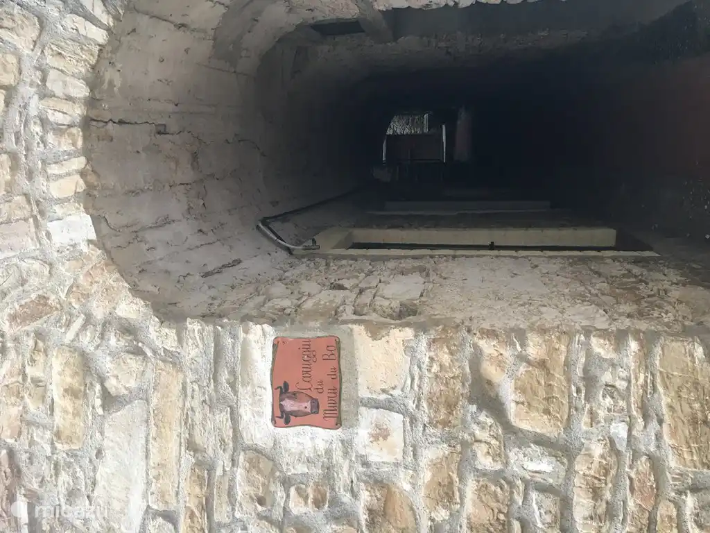 Die Allee der Kuhwand.