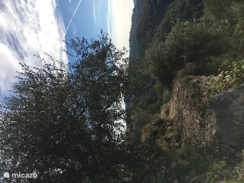 Oktober / November 2017