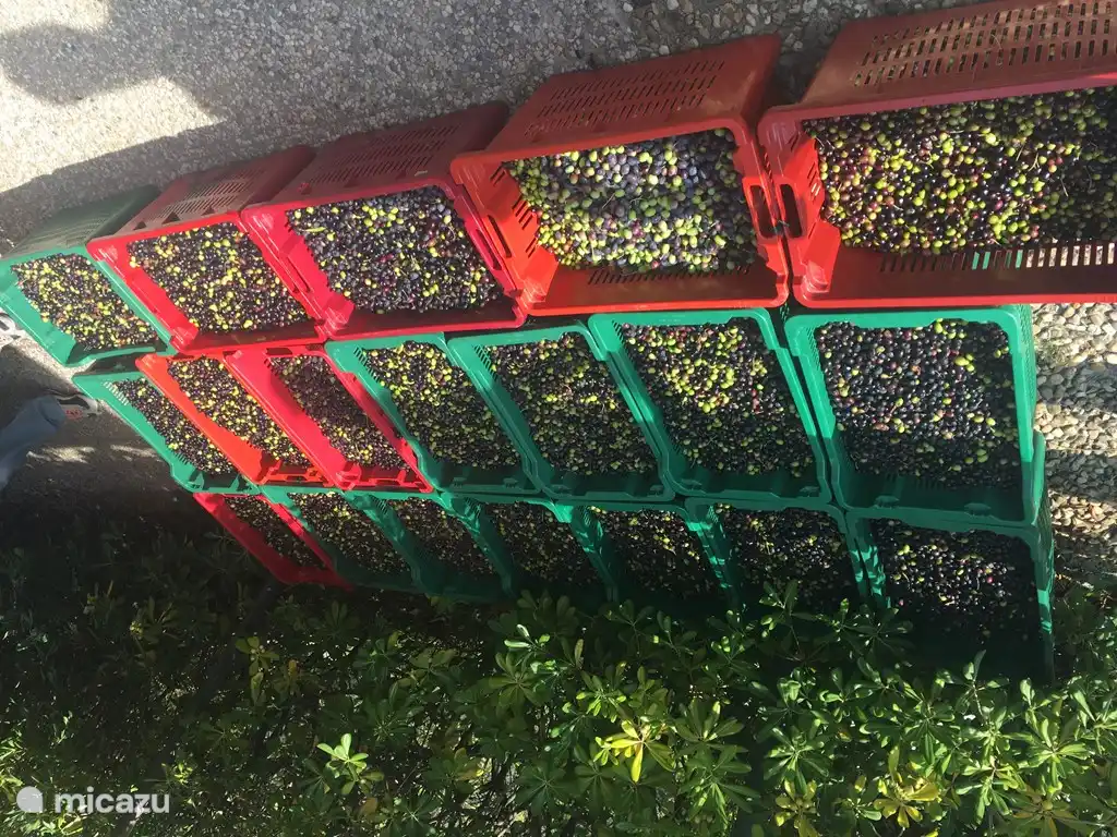 bereit für die Presse!