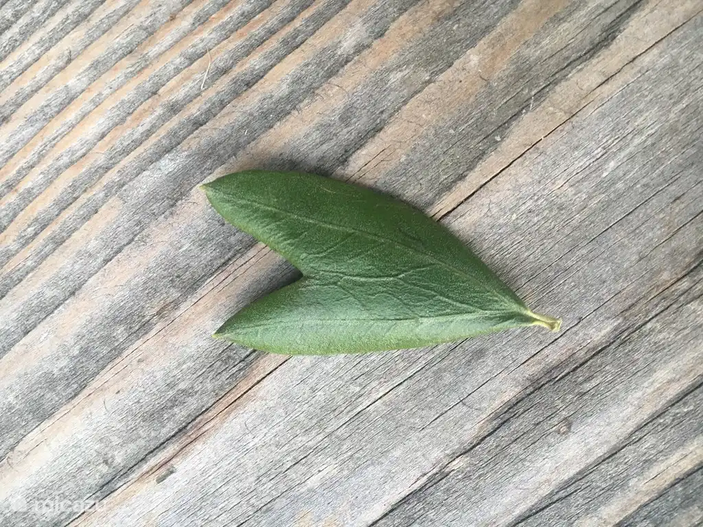 Von Verrandi mit Liebe ...