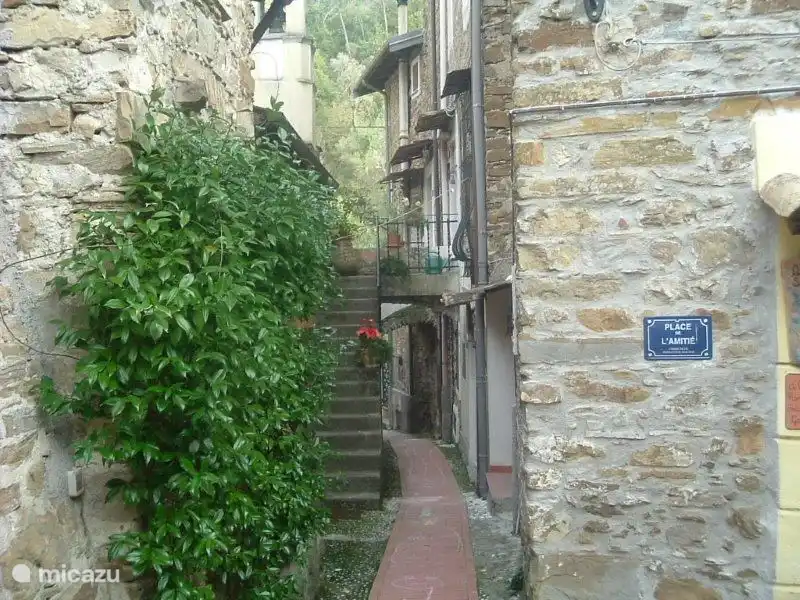 Schau durch Verrandi.