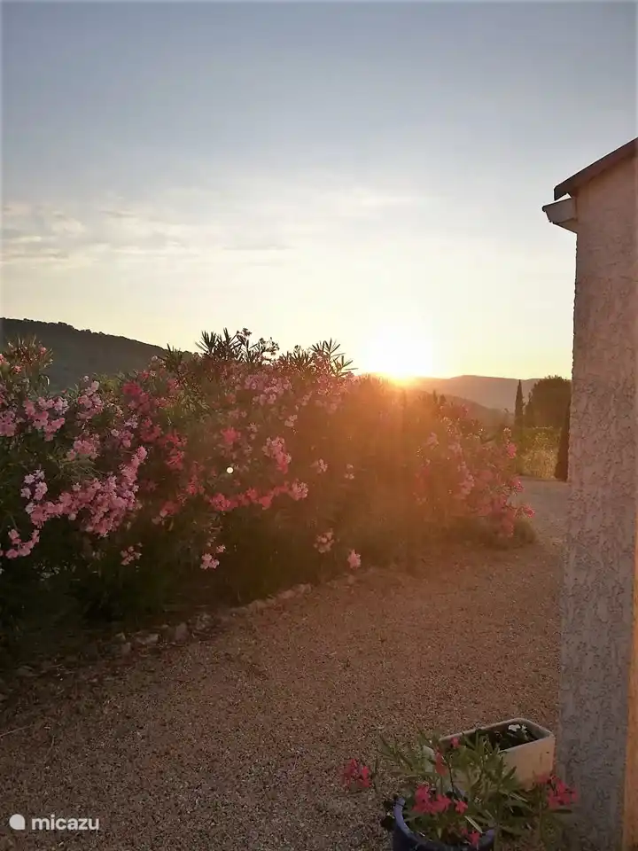 Der Garten ist von viel Grün und Blumen umgeben, die im Frühling und Sommer viele verschiedene Farben bieten