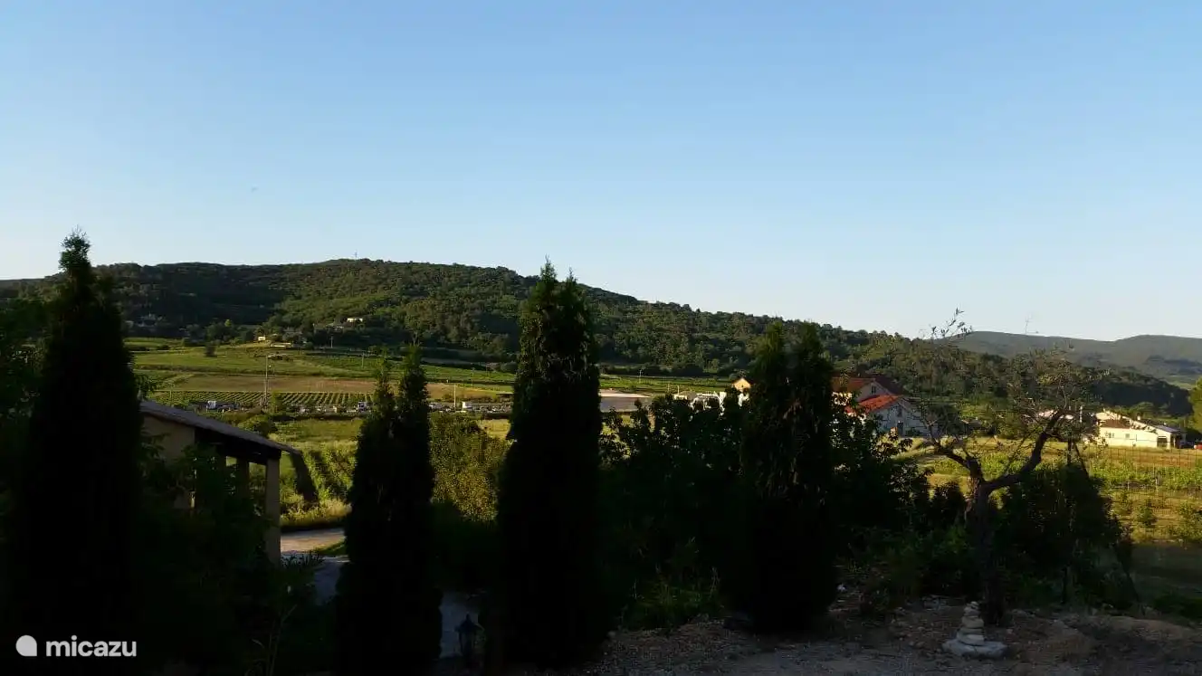 Freier Blick vor dem Haus über die Weinberge