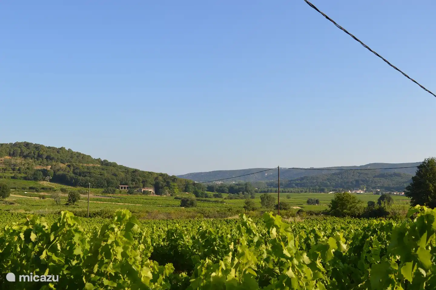 Blick über die Weinberge in St. Gély