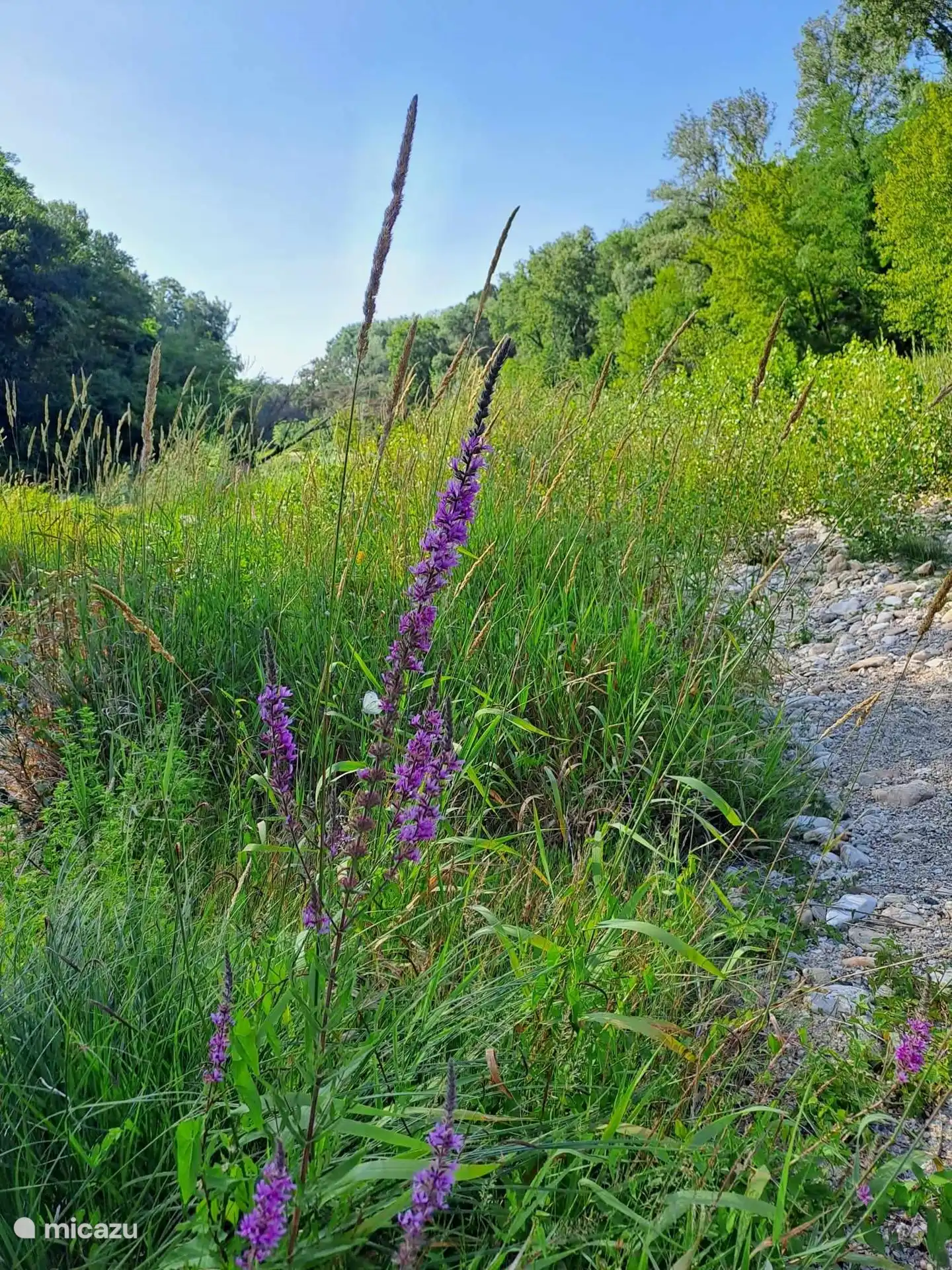 Wunderschöne Natur bei einem Spaziergang entlang der Cèze