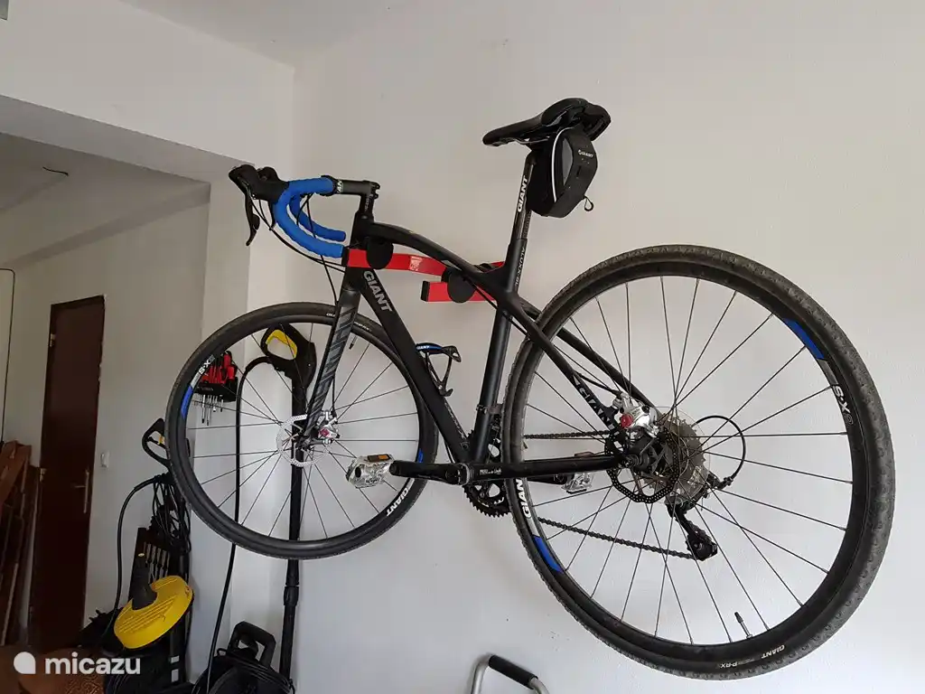 Giant Anyroad in der Garage