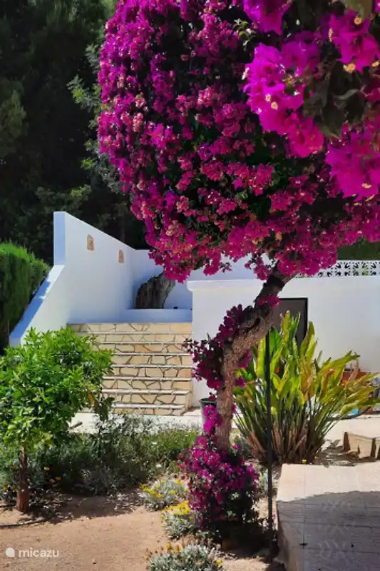 from the garden to the new terrace