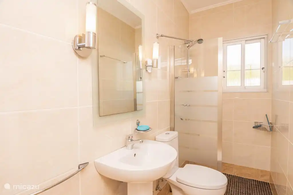 bathroom 2 with shower, toilet, washbasin and washing machine