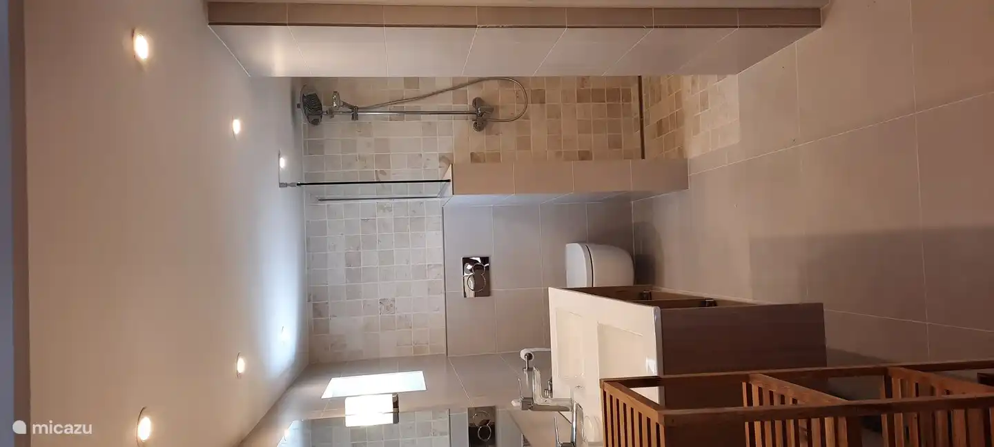 New bathroom with walk-in shower in the basement 