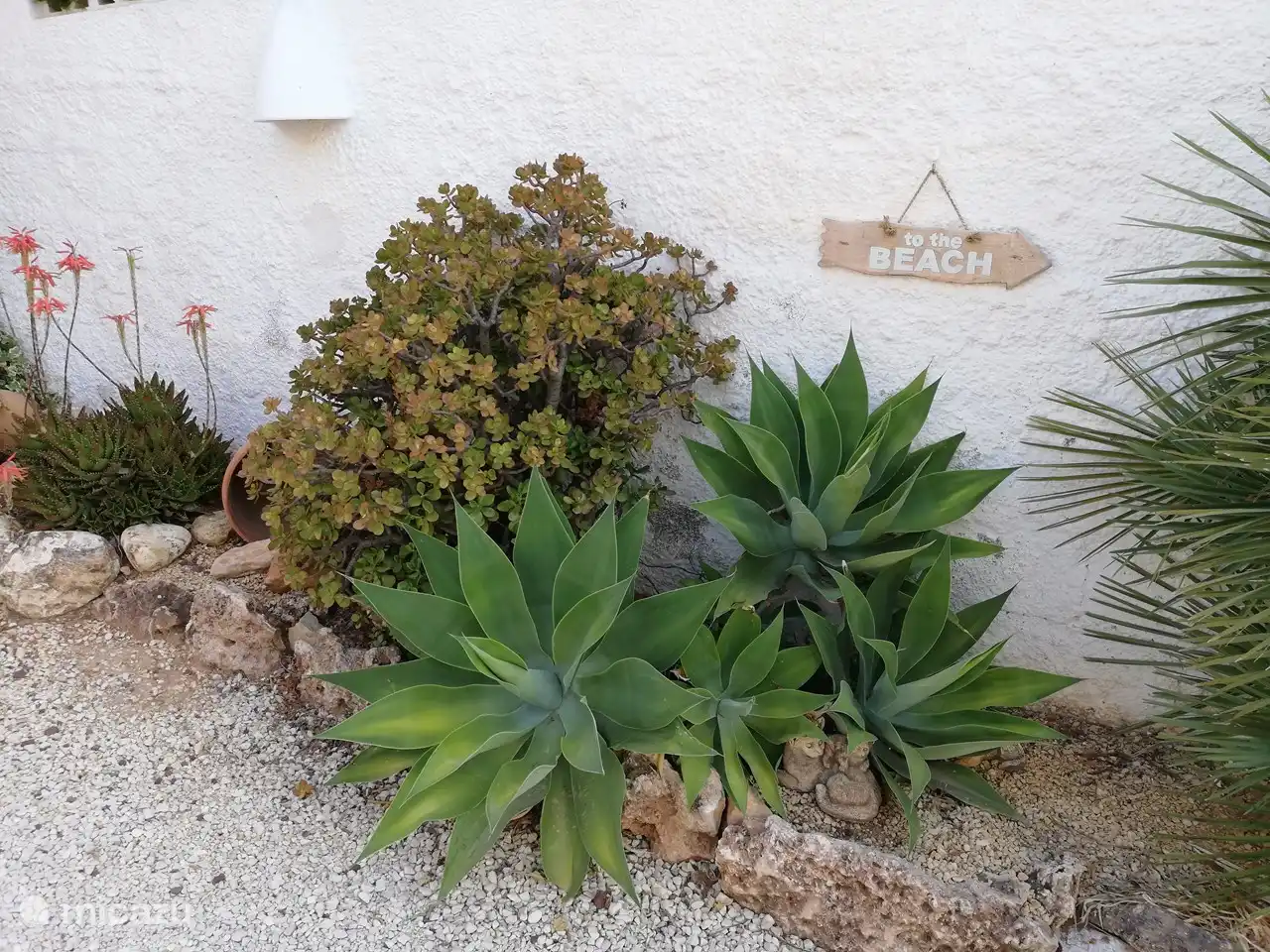 to the beach! A la playa!