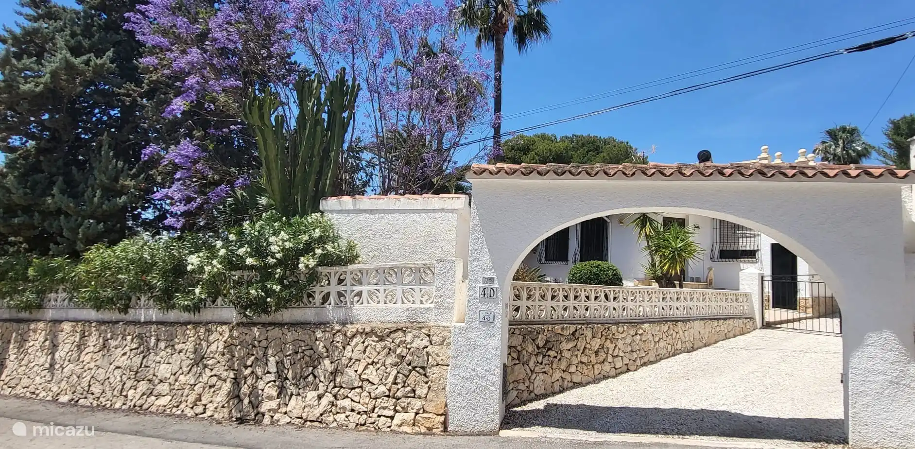 In May, the Jacaranda blooms its blue flowers