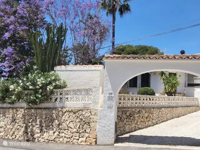 Casa Prudentia... Paradis! | Espagne, Costa Blanca, Calpe - villa En mai, le Jacaranda fleurit ses fleurs bleues