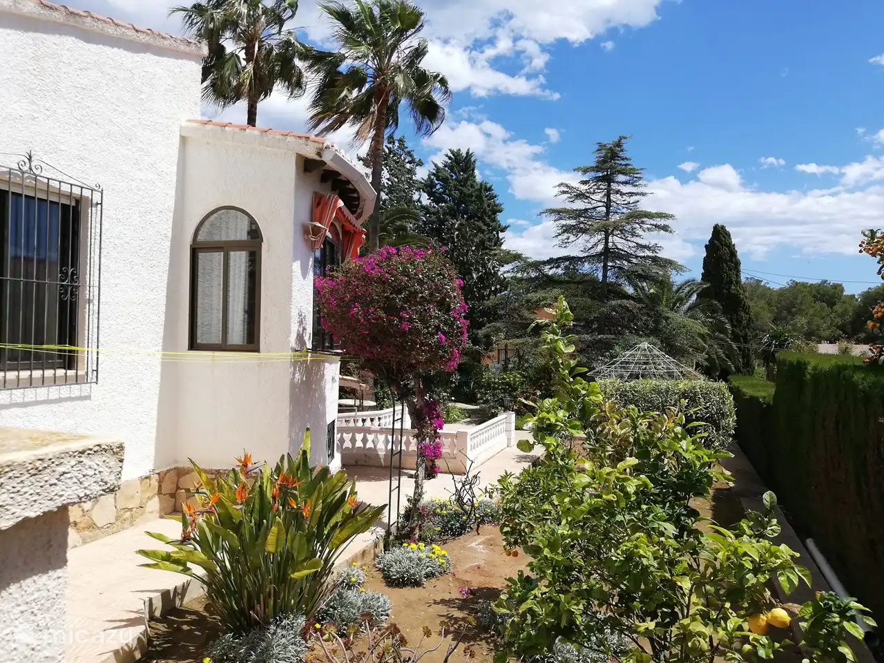 View of the side garden.