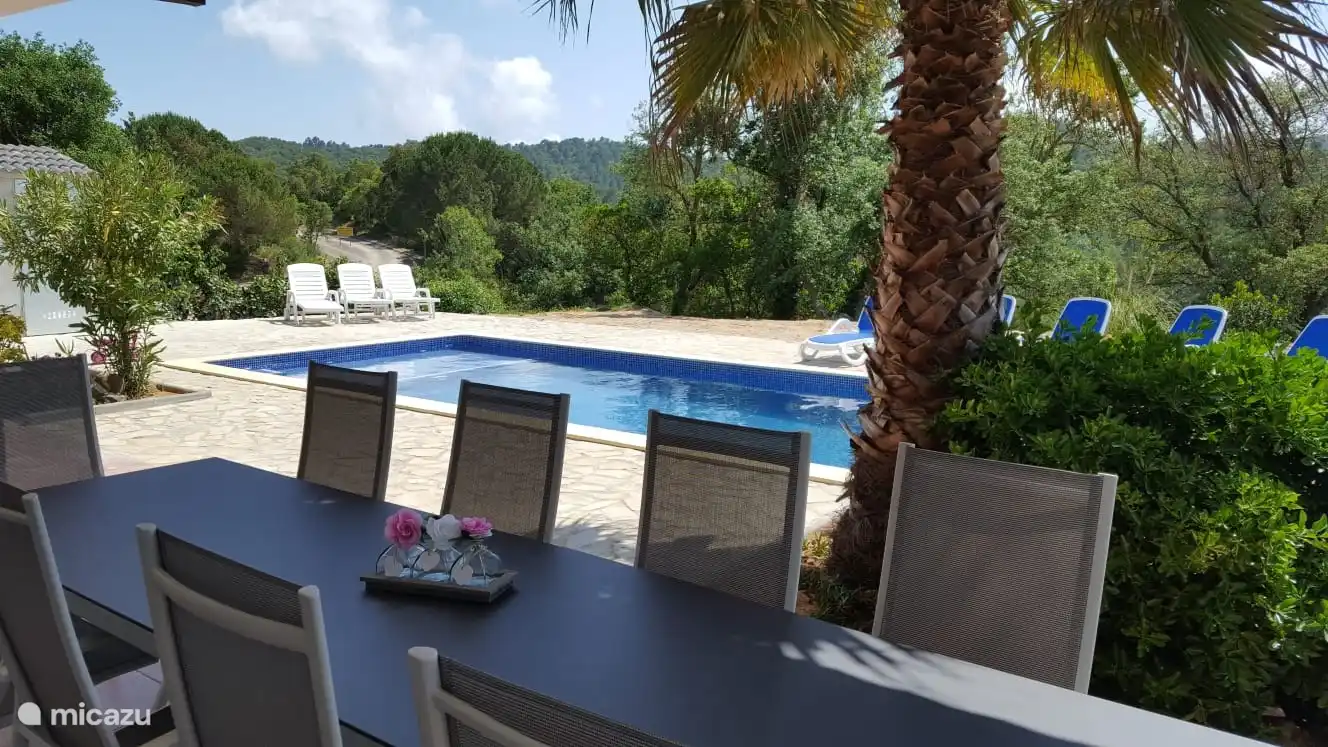 Piscine avec transats