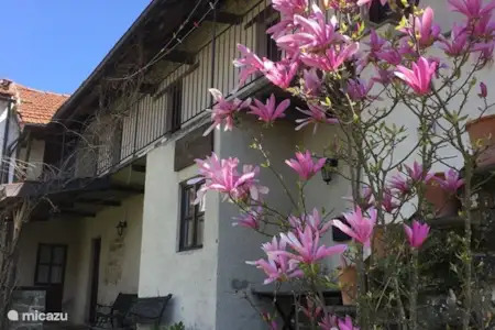 Vakantiehuis Italië, Piëmont, Cessole vakantiehuis Villa Dona Vakantiehuis Italië, Piëmont, Cessole vakantiehuis Villa Dona