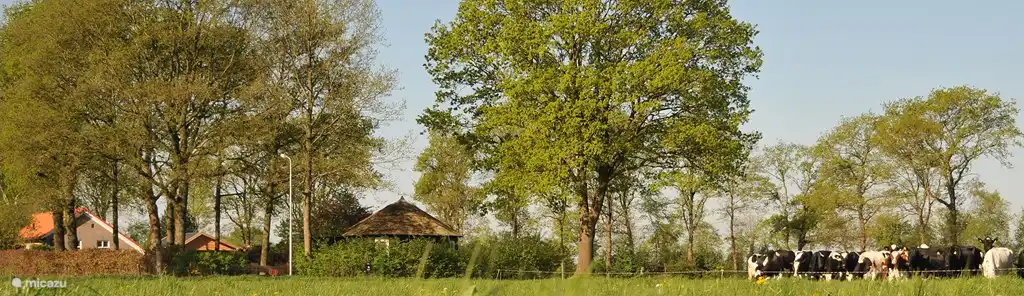 Weil unser Haus und Het Hutje weit genug voneinander entfernt sind, gibt es viel Privatsphäre für alle.