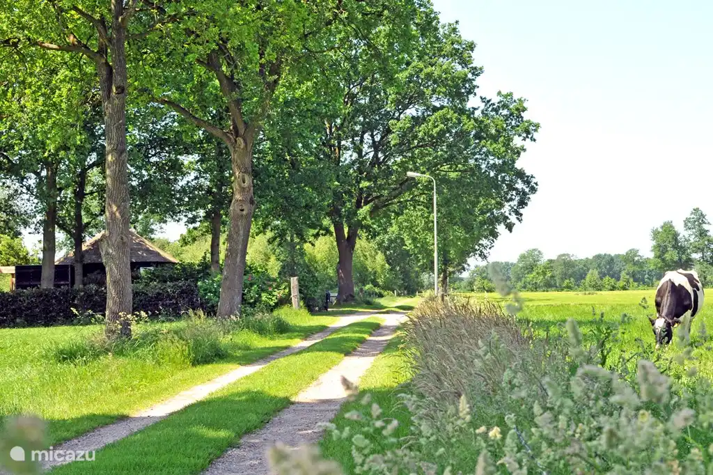 Liegt an einer sehr ruhigen Landstraße