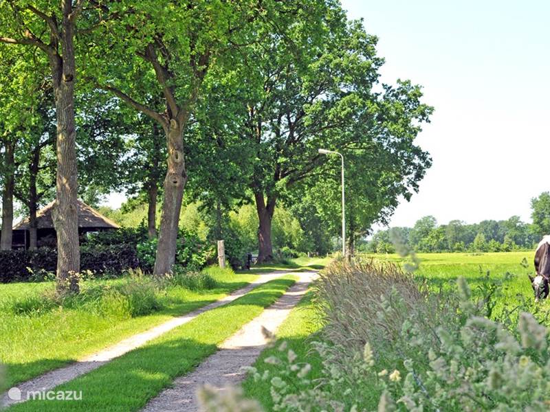 Casa vacacional Países Bajos, Overijssel, Balkbrug Casa vacacional Cabaña junto al prado