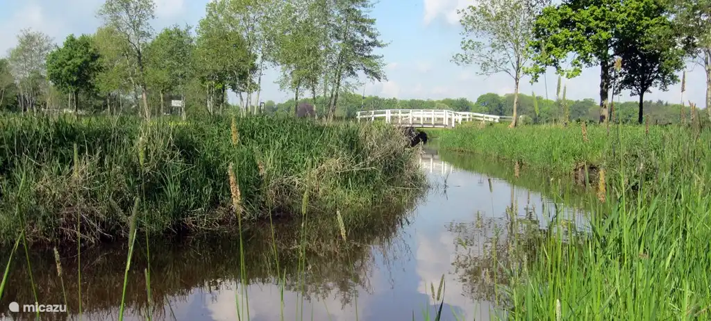 Der Fluss De Reest, die Grenze zwischen Overijssel und Drenthe