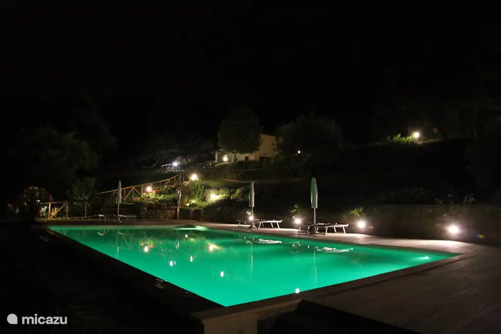 the swimming pool at night