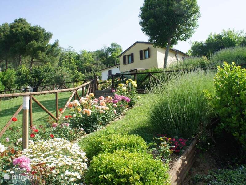 Holiday home in Italy, Marche, Fiorenzuola di Focara Apartment Case San Bartolo - Le Ginestre