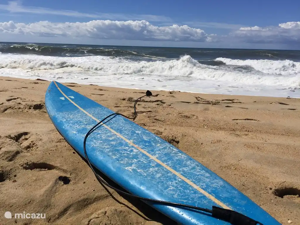 Paradis des surfeurs