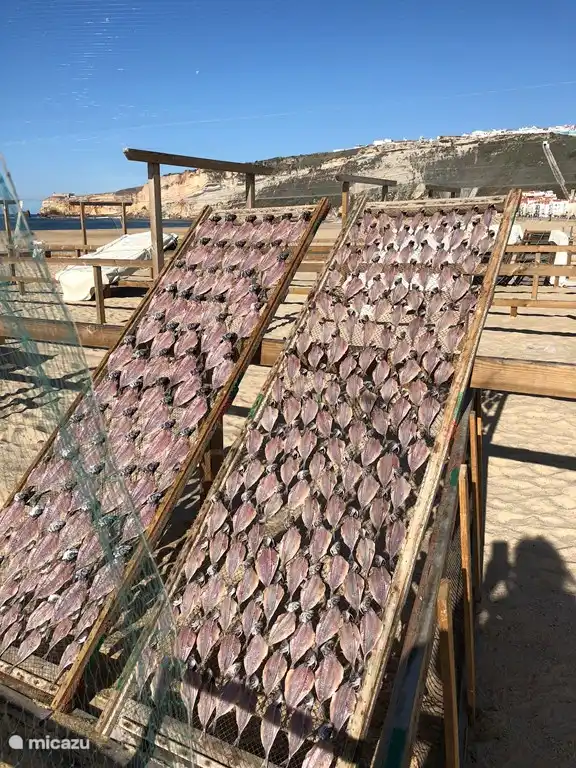 Poisson séché sur la plage