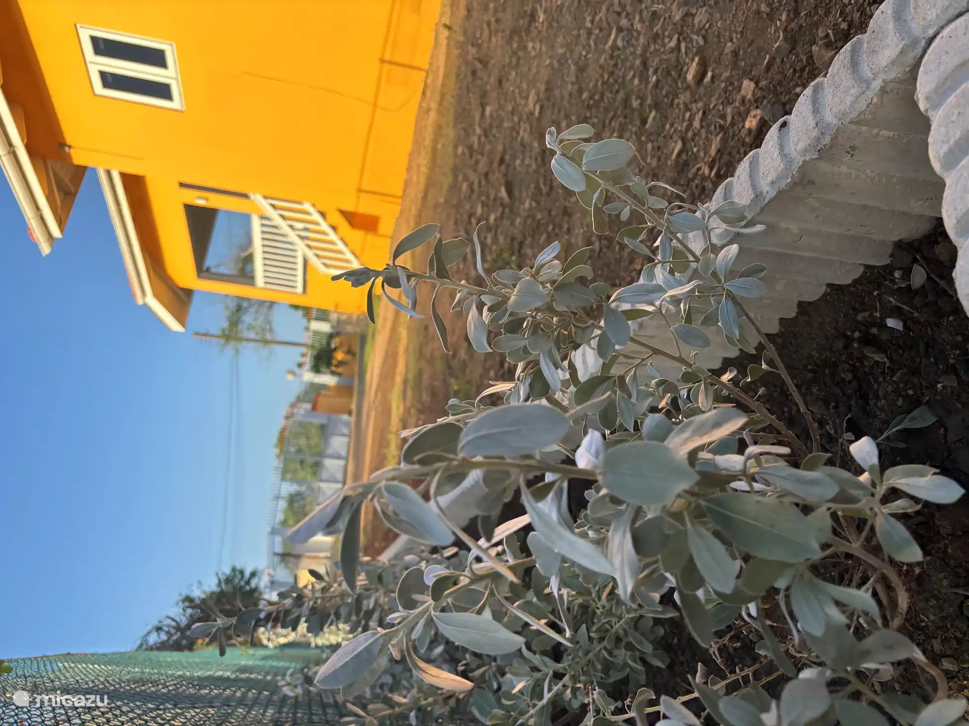 Blick aus dem Garten