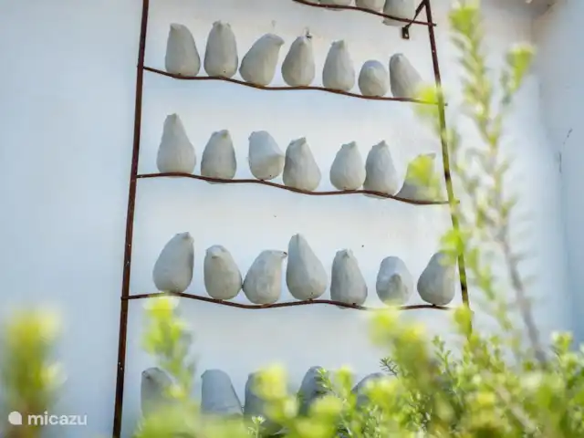 villa en Portugal, Algarve, Loulé – Cazinha Concara Foto atmosférica pájaros felices