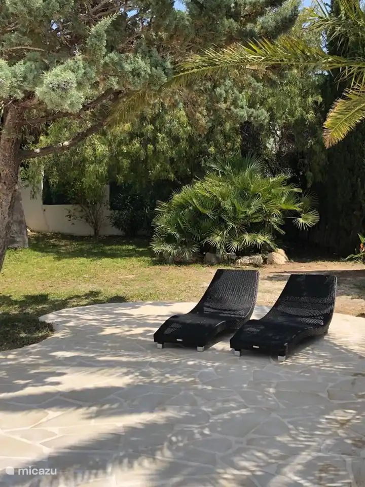 Terrasse unter den (Palmen) Bäumen