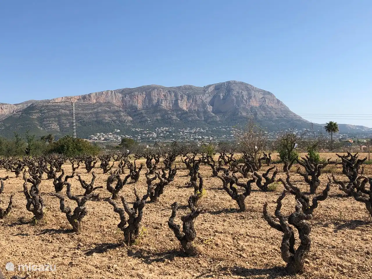 Der Montgó im Hinterhof