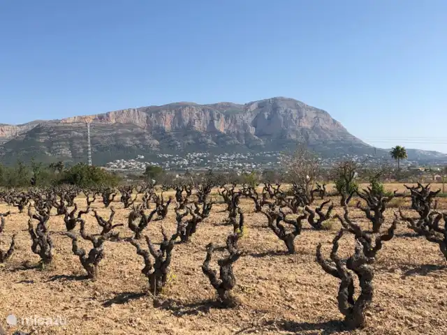 Casa la Suerte Javea | Espagne, Costa Blanca, Jávea - villa Le Montgó dans la cour