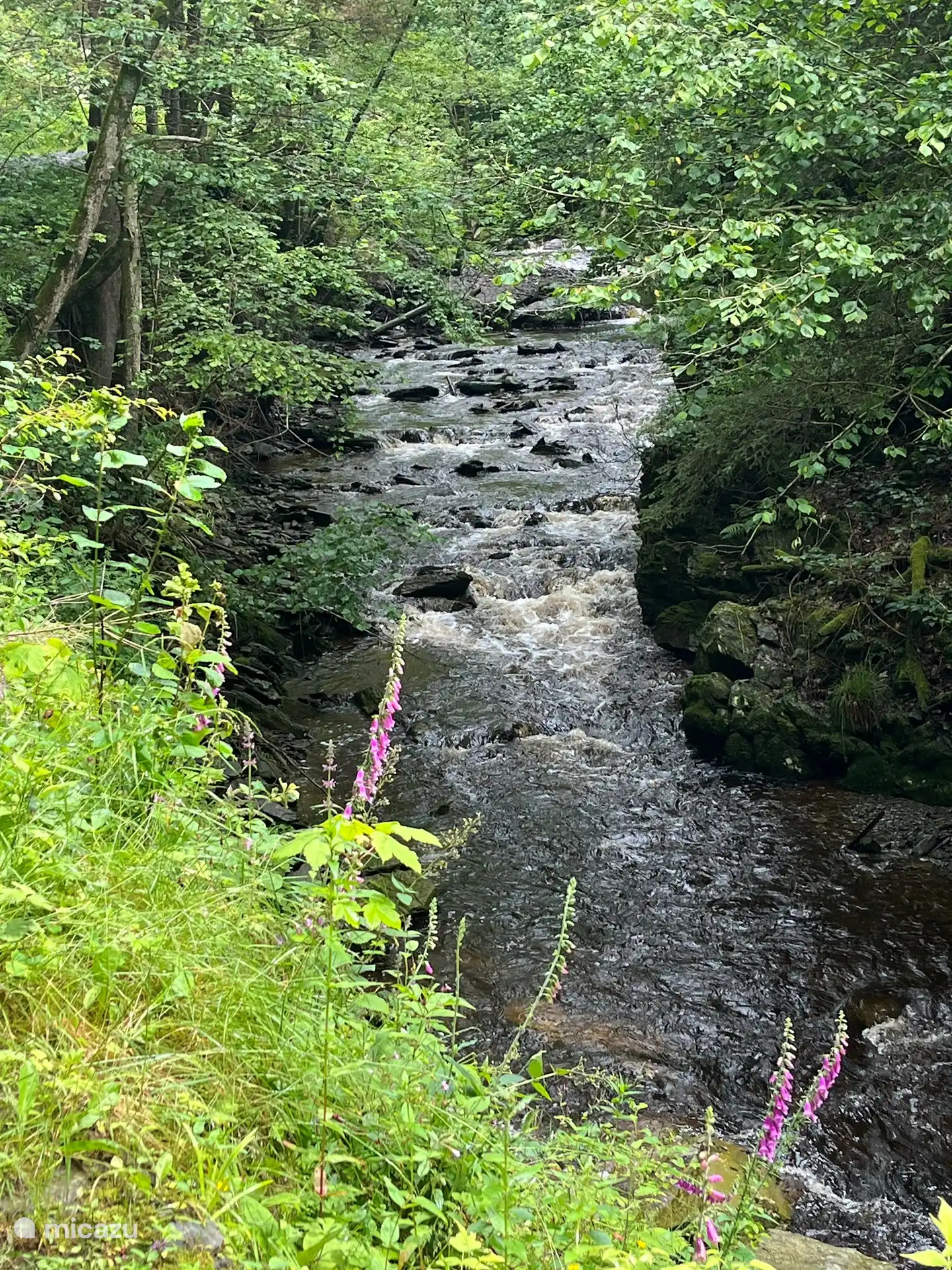 In unmittelbarer Nähe des Ferienhauses können Sie zu Fuß gehen