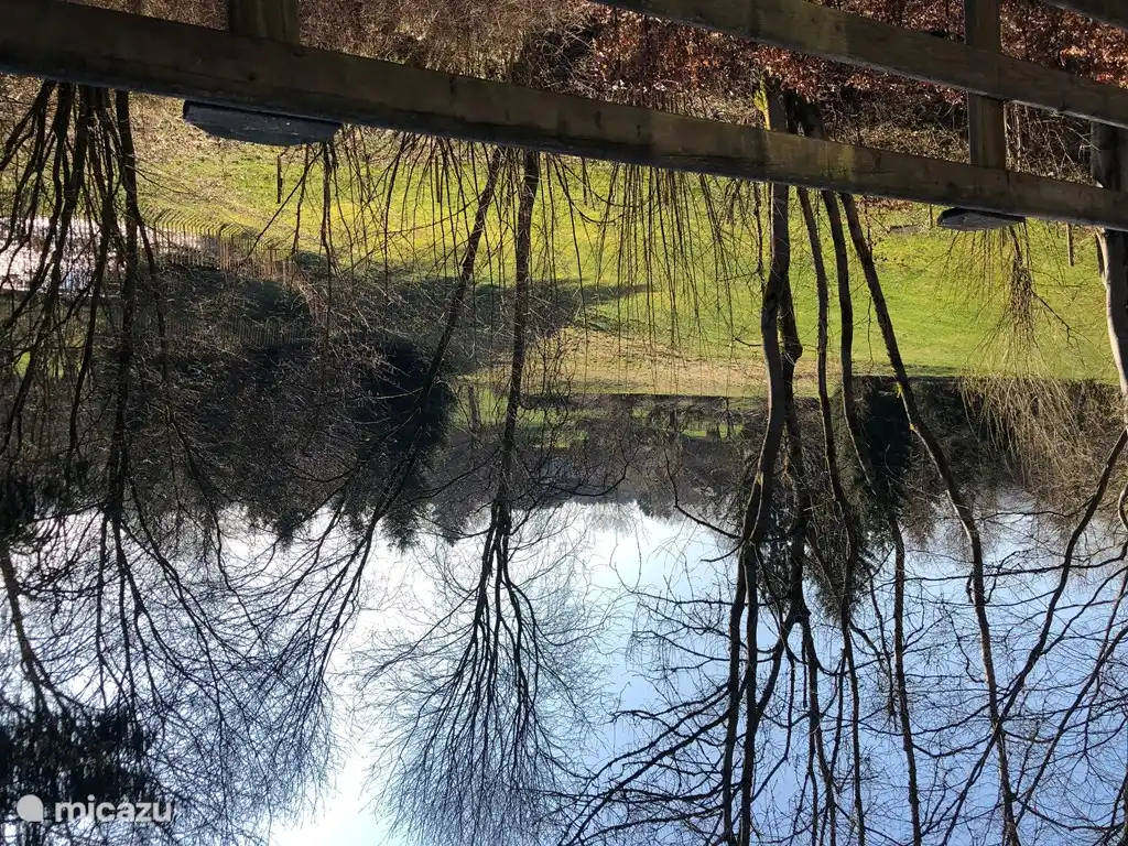 Blick von der hinteren Terrasse