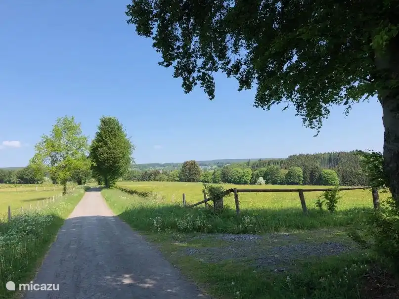 Wälder und Felder in der Umgebung