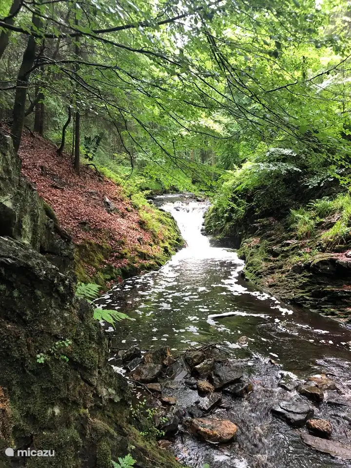 viele Bäche in den Ardennen
