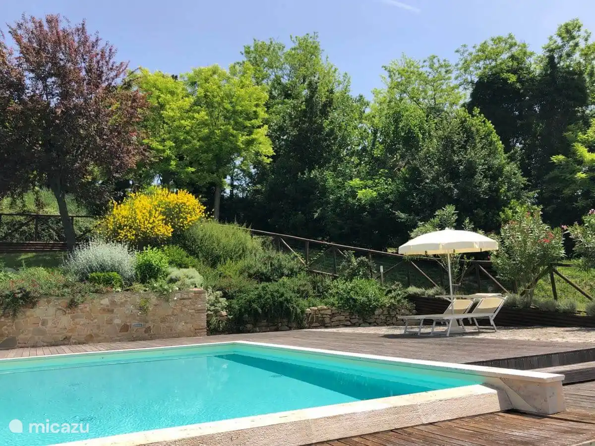 garden - swimming pool