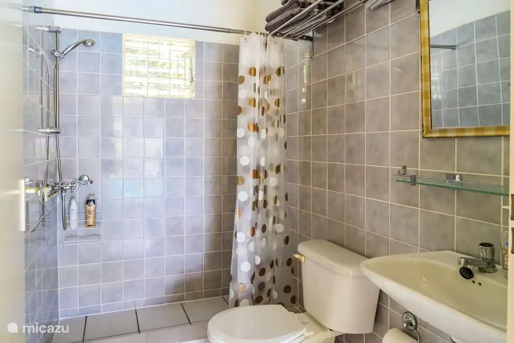 Bathroom with spacious shower, toilet and sink