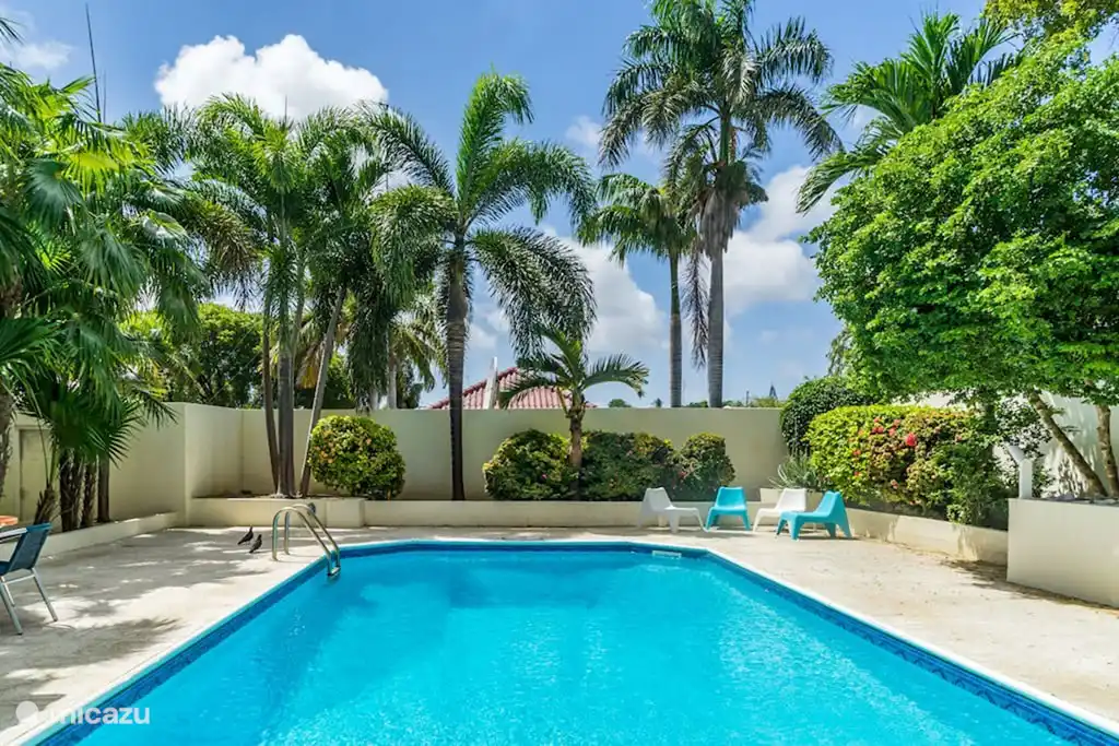 View of the spacious swimming pool (5 x 10 meters)