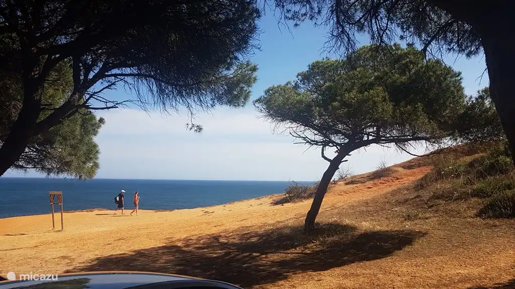 Marcher ou faire du vélo sur les falaises, aventureux, car il y a beaucoup à découvrir avec de beaux arbustes à fleurs et des plantes avec des sentiers passionnants, à la fois faciles et difficiles.