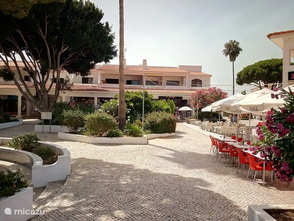 Un large choix de terrasses et de restaurants.