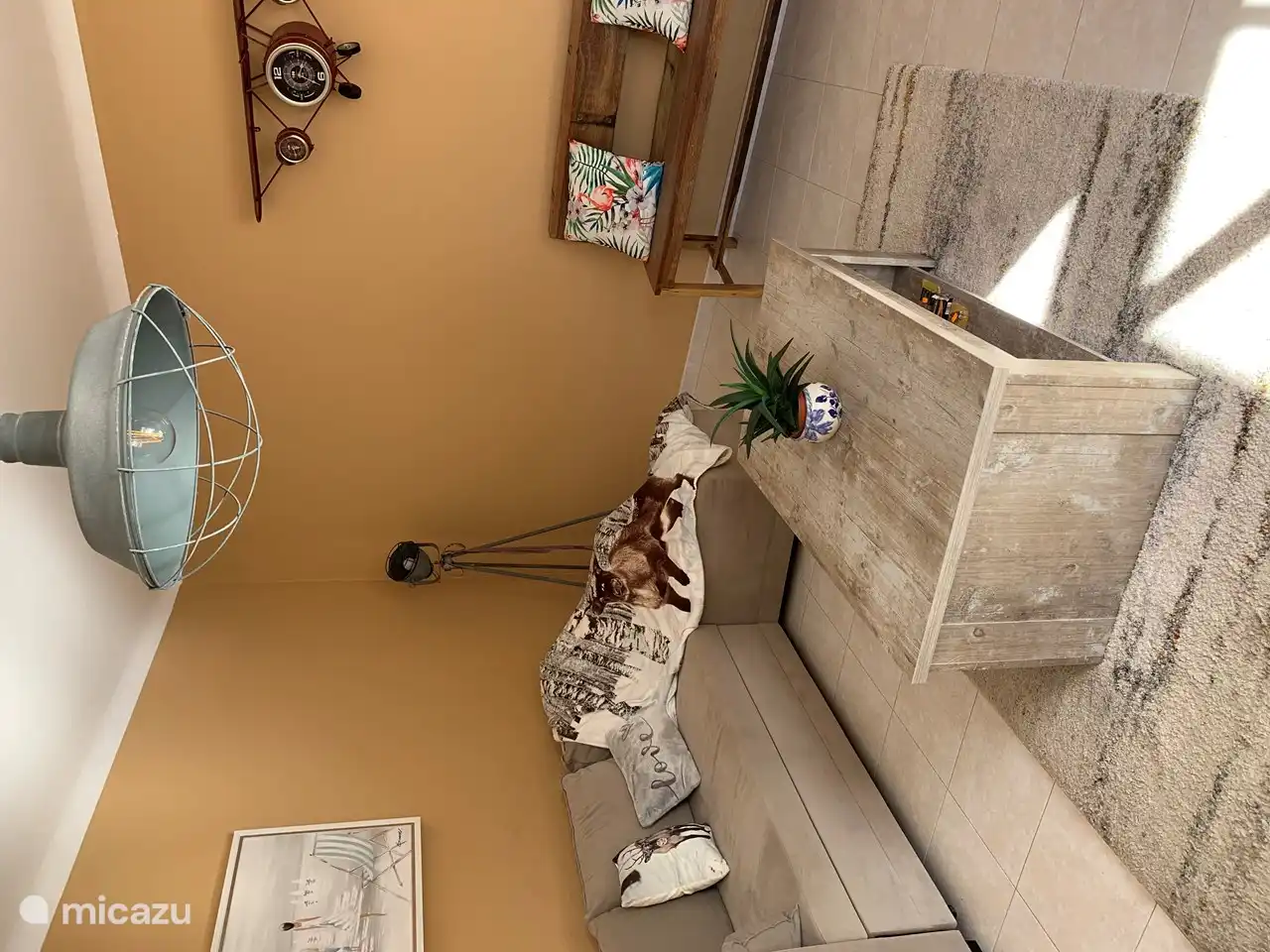 Se prélasser et regarder la télévision sur les canapés.