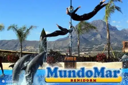 Parcs aquatiques, à thème et d'attractions et zoos