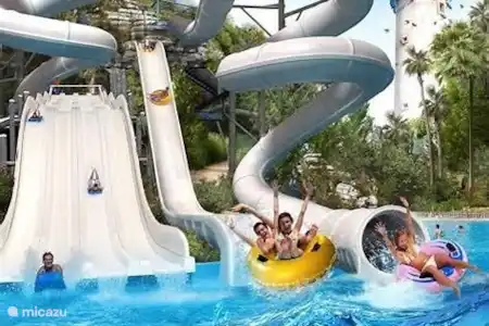 Parcs aquatiques, à thème et d'attractions et zoos