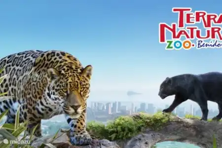 Parcs aquatiques, à thème et d'attractions et zoos