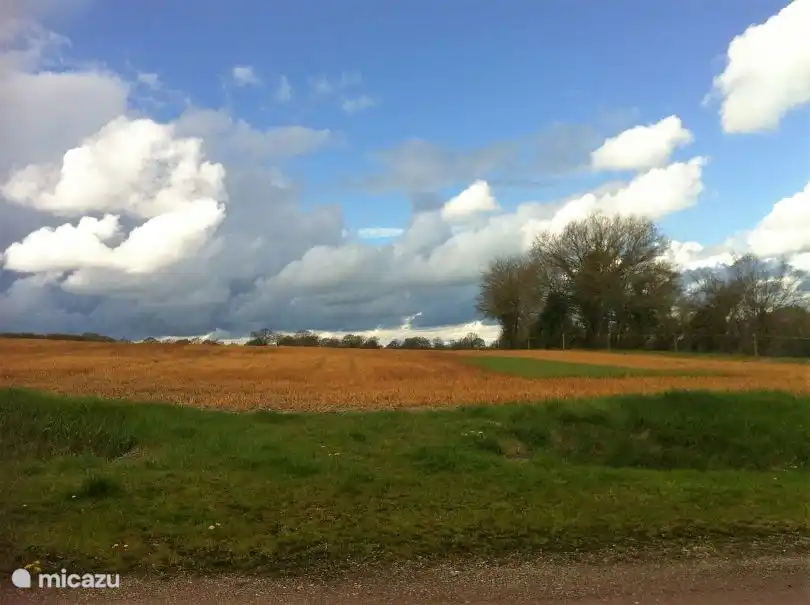 Weite Ausblicke zwischen den Wiesen.